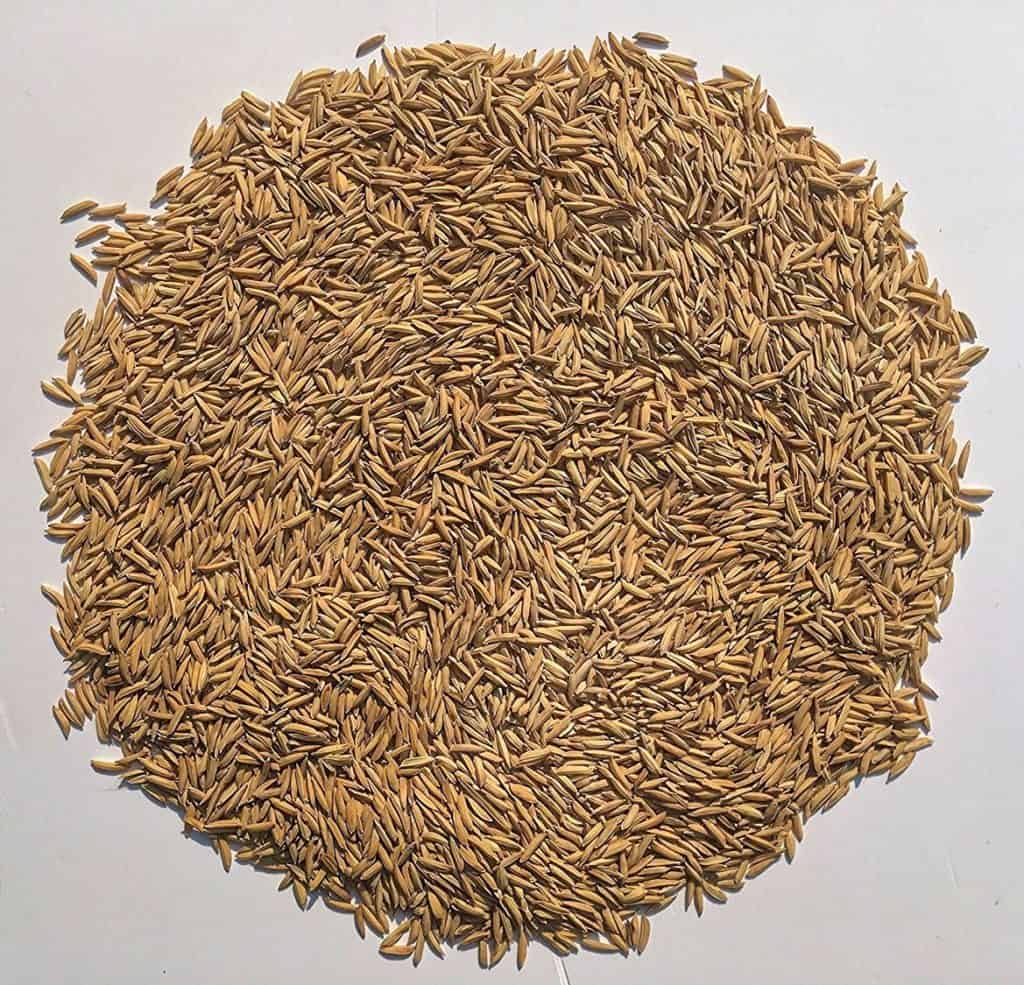 Government to Ensure Smooth Procurement of PUSA Basmati in Haryana