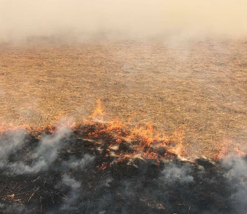 Stubble Burning Incidents Increase in Punjab 