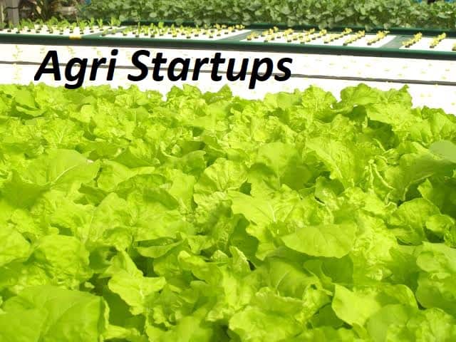 Agri-Tech Start ups to Increase the Efficiency of Dairy Sector