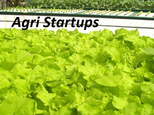 India to Fund 234 More Agri start-ups With a 24.85 Crore Fund