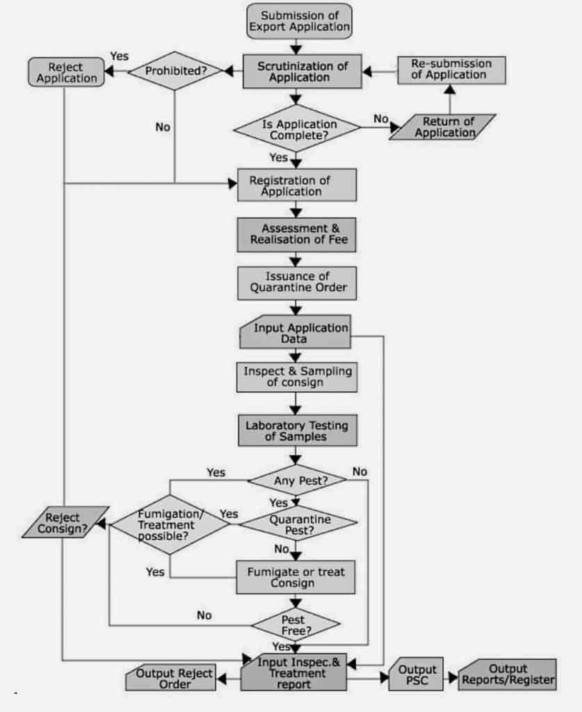 The export inspection and photosanitary certificate issuing process depicted in a flowchart