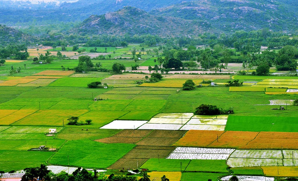 Cropping pattern of Farmland growing traditional crops in India 
