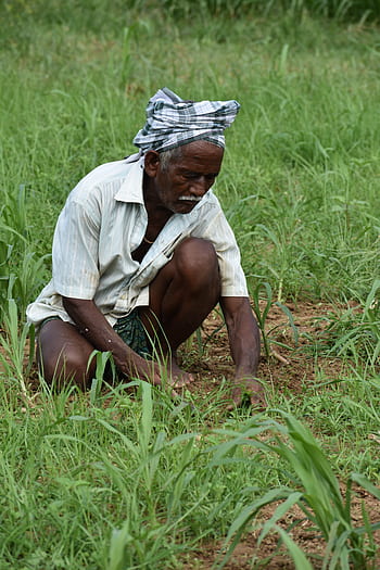 Farmers to benefit from the PM- KISAN scheme during the Pandemic fight 