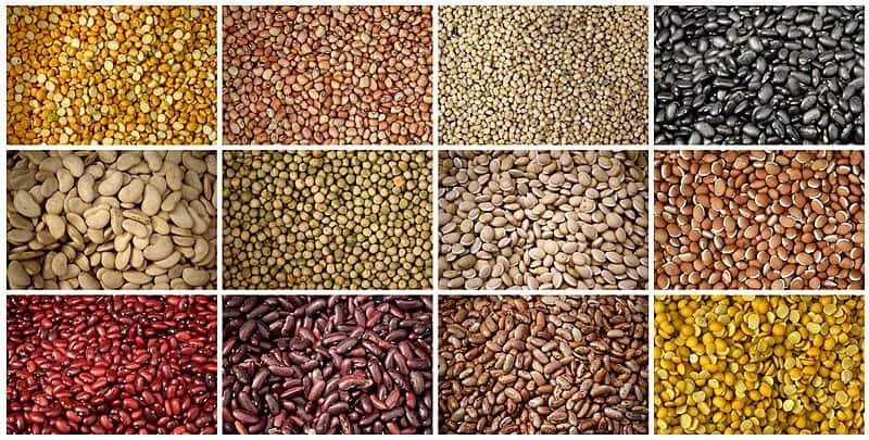 Pulses Import Permit Delayed by Indian Government 