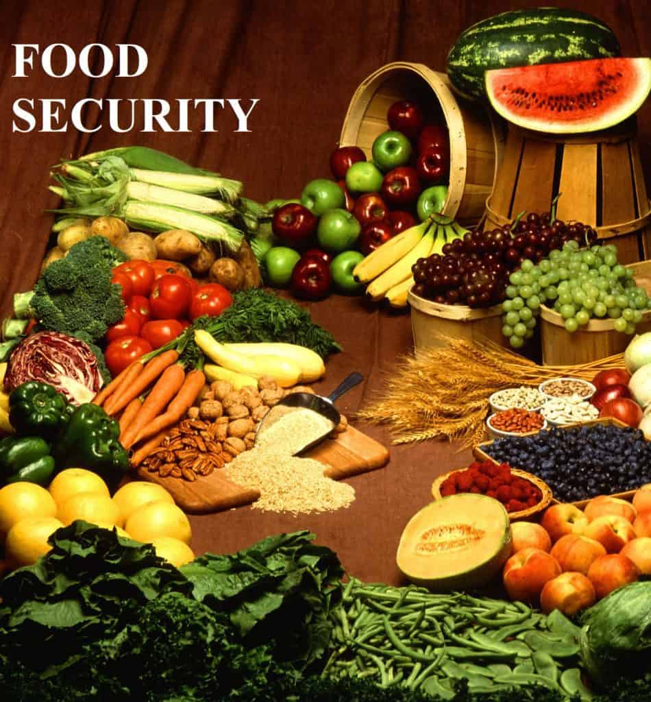 Iraq to Maintain Food Security by Importing Wheat