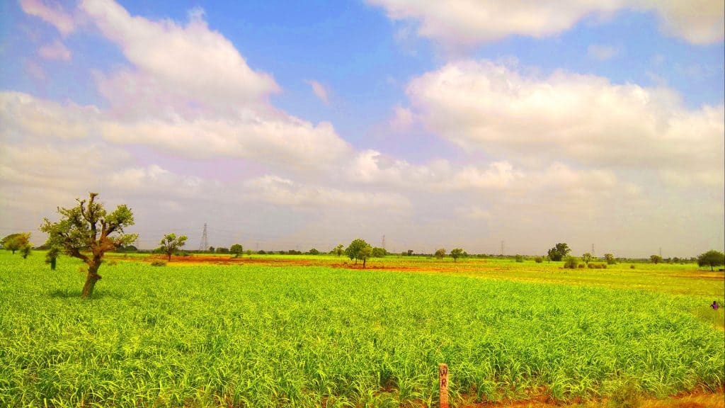 Farmers Protest Against Land Acquisition for Bullet Train 