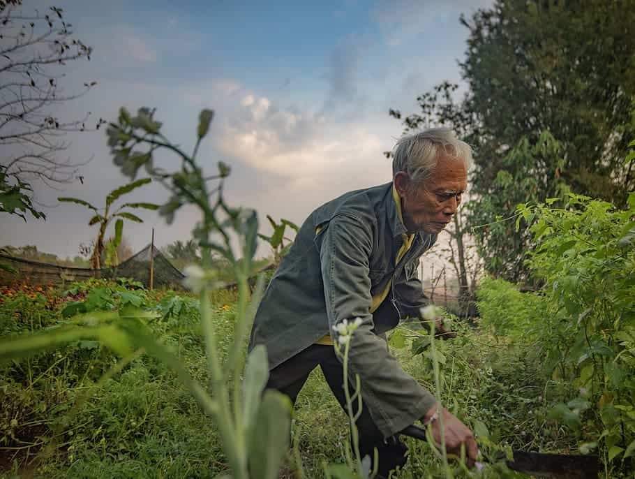 The government is Disbursing the First Instalment under Mera Pani Meri Virasat Scheme to Haryana Farmers 