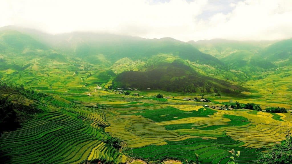 Sustainable Farming, the Way to Greener and Better Future