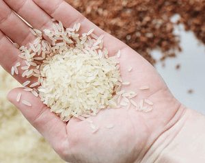 Basmati Rice Exporters Refuse to buy Crops Due to Excess Tax in Punjab