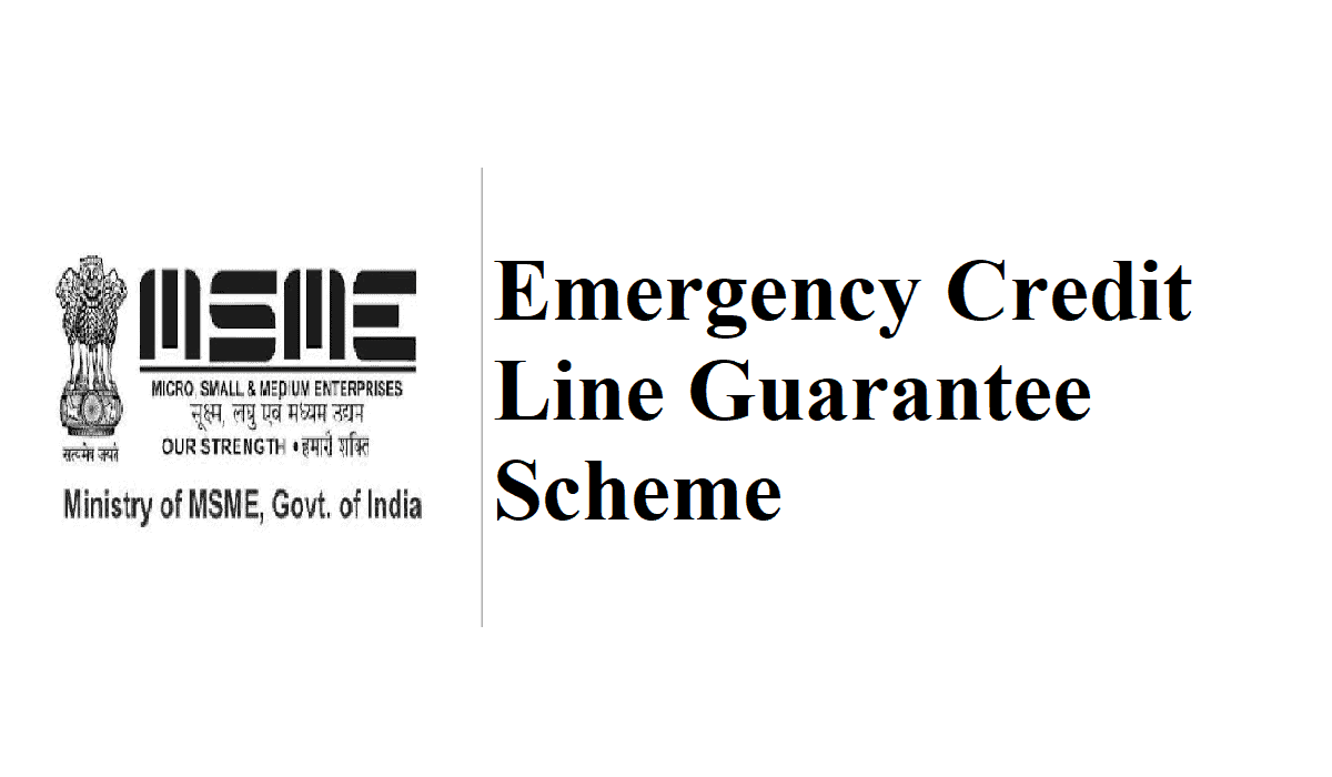 Banks and Non-Banks Demand Broadening of the Government's Emergency Credit Line Guarantee Scheme (ECLGS) - Grainmart News